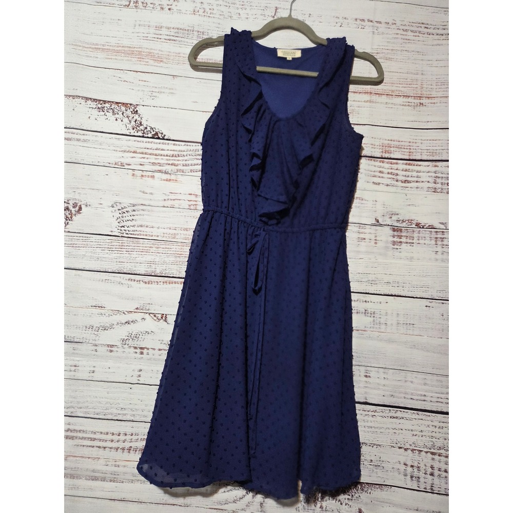 Crescent Stitch Fix Purple Swiss Dot Ruffle Sleeveless Dress Textured Small